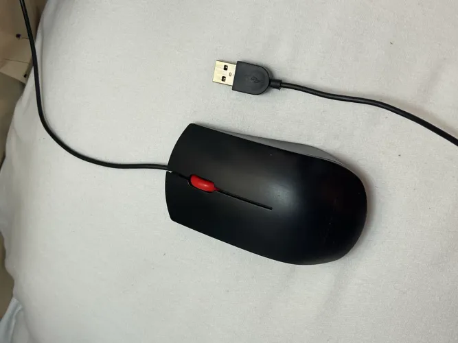 Lenovo Essential USB Mouse (Modelo 4Y50R20863)