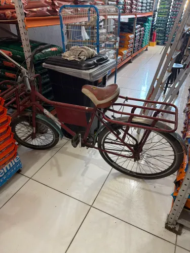 Bicicleta cargueira