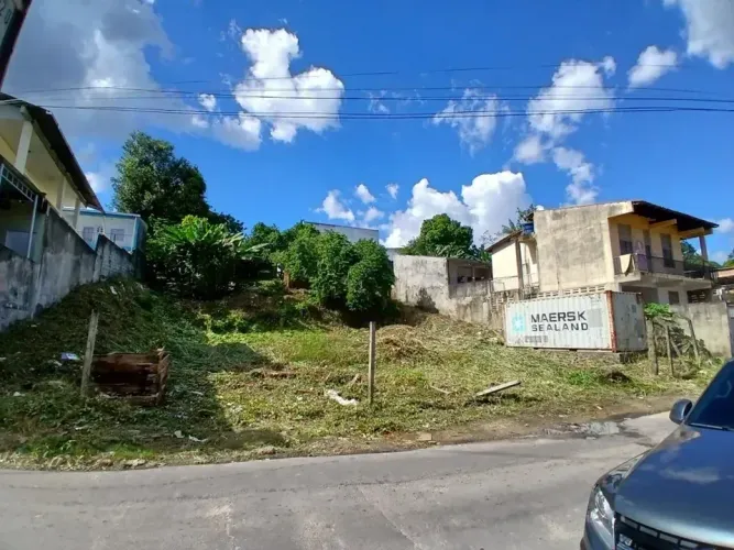Terreno plano para galpão, loja, estacionamento - Próximo a Torquato