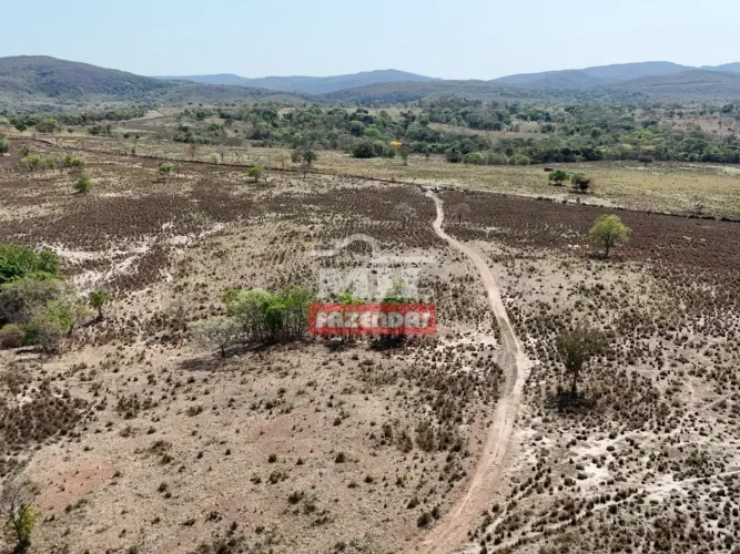 Fazenda 20 Alqueires (96,80 Hectares) Lua Nova - GO