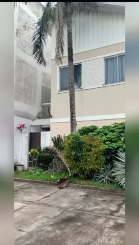 Alugo casa duplex Jóquei  <br>