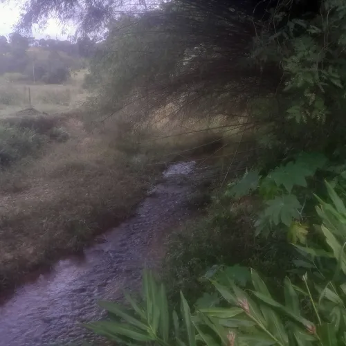 Terreno com água no fundo 