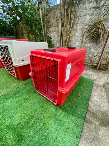 Caixa de Transporte Para Cães e Gatos 