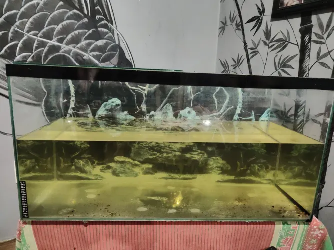Aquário
