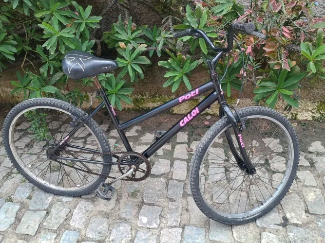 Bicicleta feminina adulto