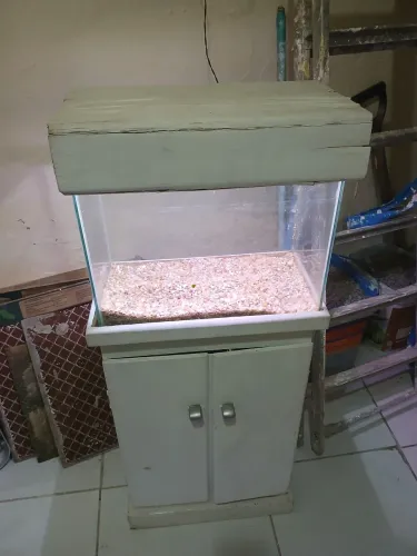 aquario com luminaria , fica aceso quando liga tomada