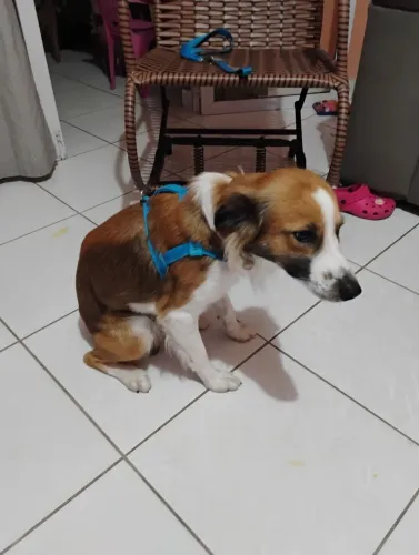 DOAÇÃO
