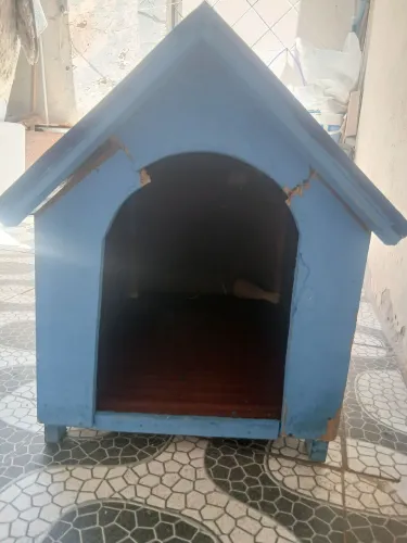Casinha de cachorro