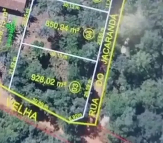Lote Pirenópolis - Pau de Lenha / Mata velha.