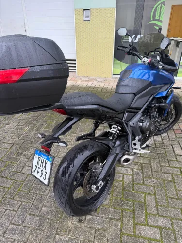 Tiger Sport 2022