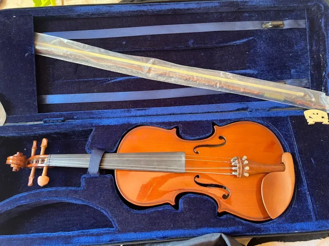  Violino Eagle VE441 
