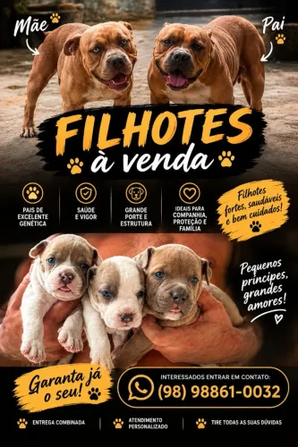 Filhotes de pitmonster