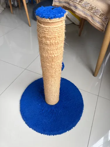 Arranhador gato