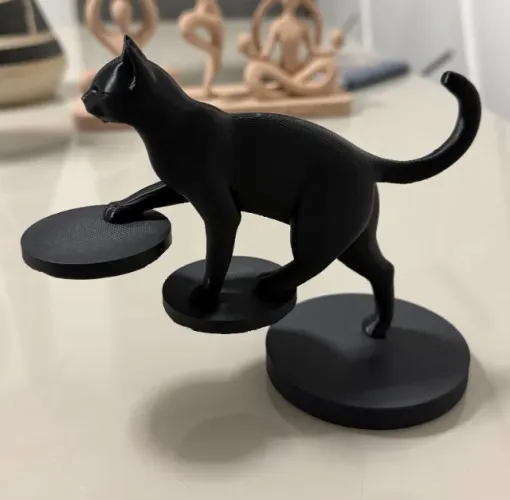 Equilibrio Felino