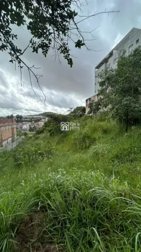 Excelente lote no Cabral