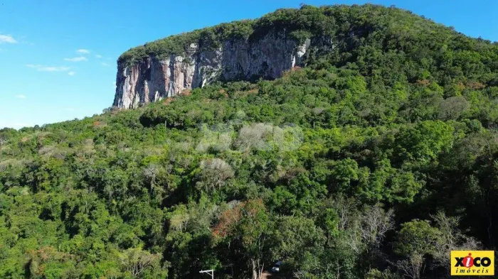 Sítio / Chácara para Venda em Nova Petrópolis / RS no bairro Linha Brasil Fundos