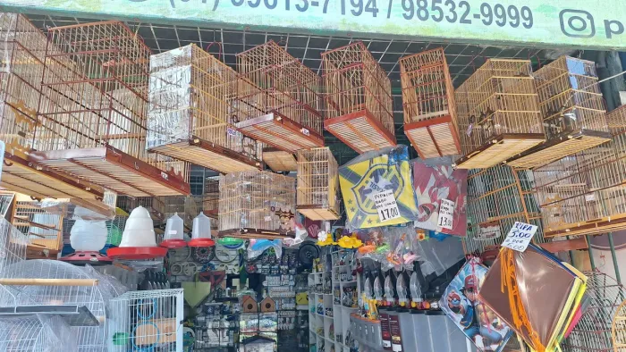 Gaiolas e assessórios 