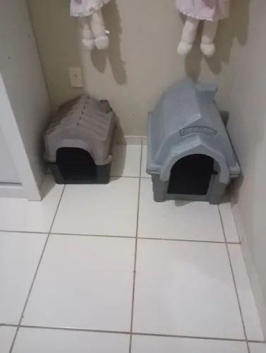 Casa de cachorro