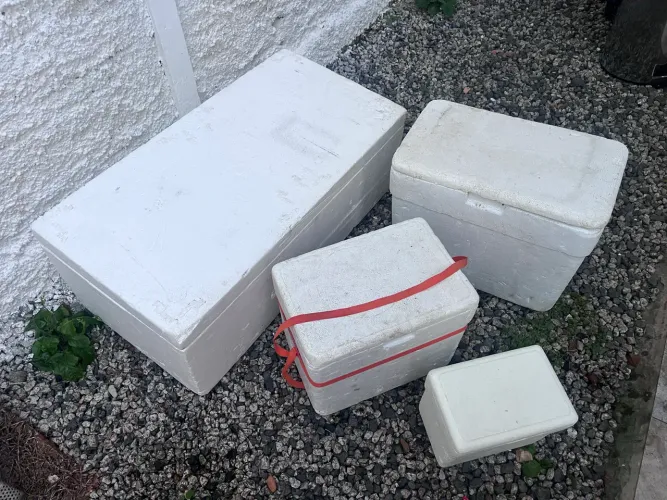 Caixas de isopor