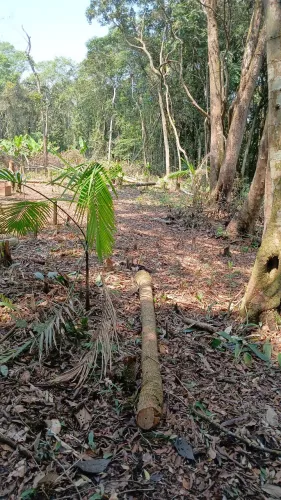 Terreno a venda 