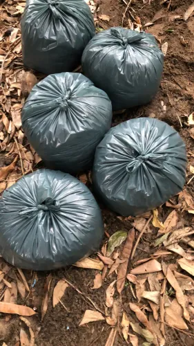 Terra preta 