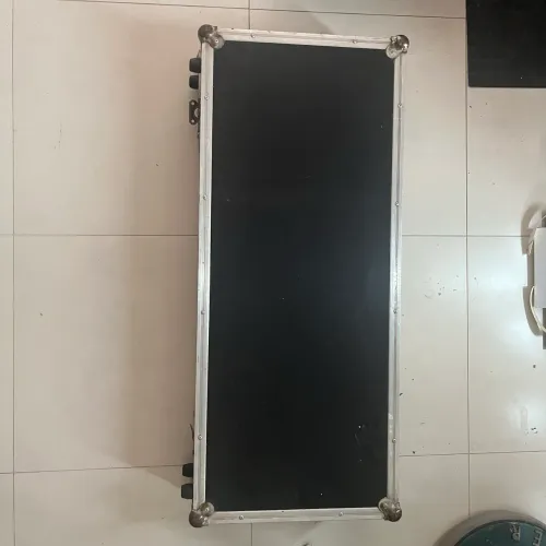 Case