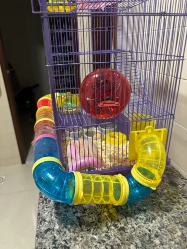 Vendo 2 gaiolas para Hamster 