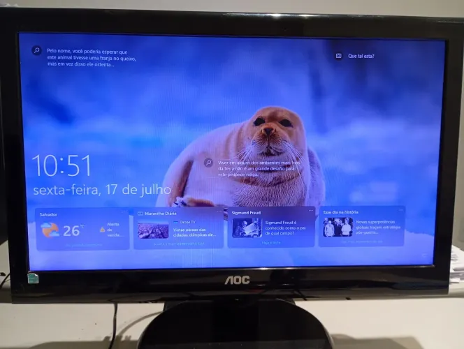 Monitor Led 19,5 polegadas AOC e2050 Swn
