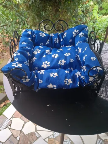 Caminha para pet