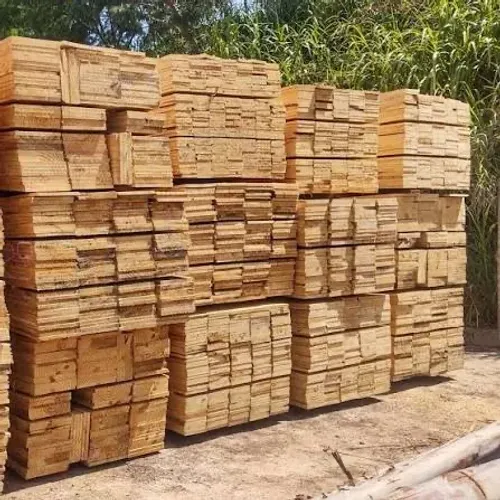Tabua pinus 15/20/25/30cm