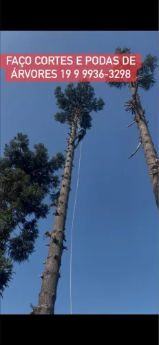 FAÇO CORTES E PODAS DE ÁRVORES