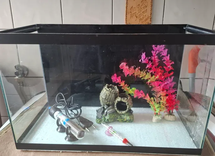 Aquario semi novo de 20 litros 