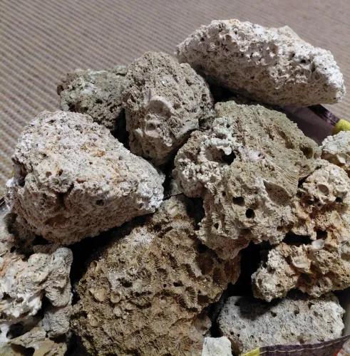18kg de Pedras/rochas aquário marinho