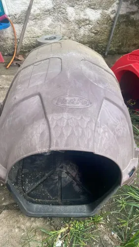 Casinha de cachorro grande