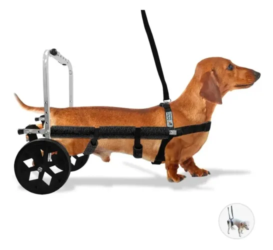 Mini Cadeira de Rodas Cachorro Cao Paralisia 3,5 a 7,0 kg