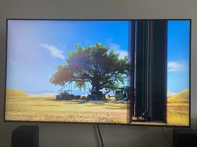 Tela quebrada - Tv 55" Samsung Q60C
