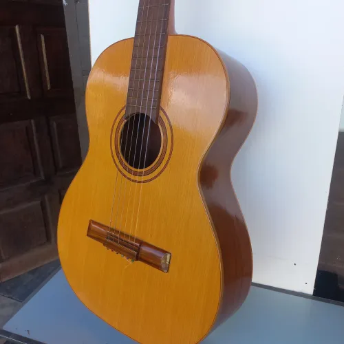 Violão Digiorgio estudantil
