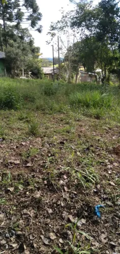 Terreno no campo cerro verde