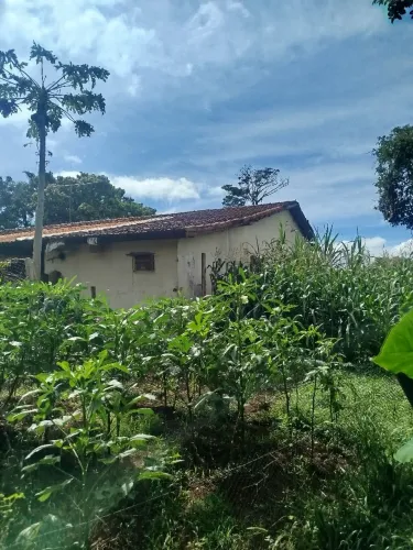Chácara Village casa grande próximo  o compo samambaia U FG