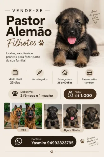 Filhote pastor alemão
