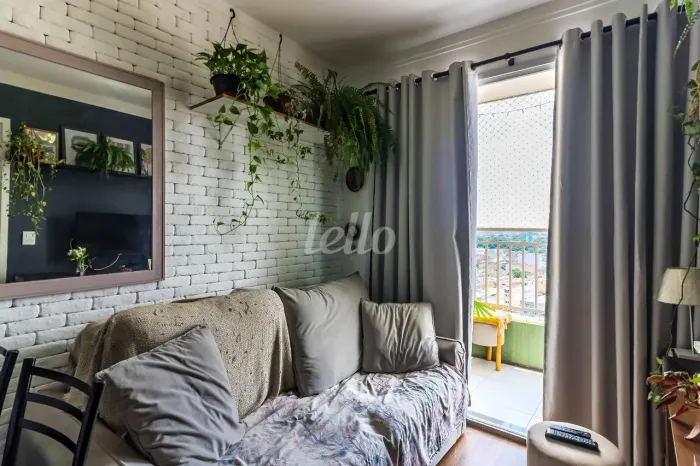Apartamento 1 quartos para alugar no(a) Brás