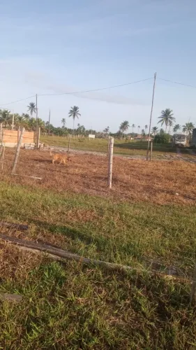 Vendo terreno em São Matheus És