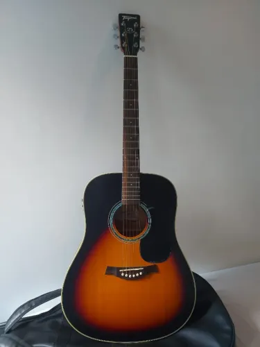 Violão Tagima Woodstock TW25