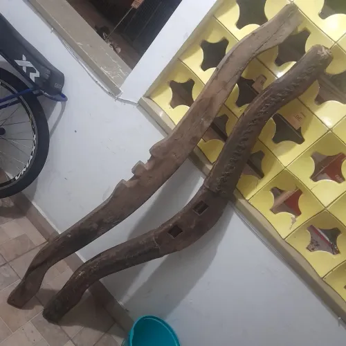 Vendo cangaia 800 reais cada