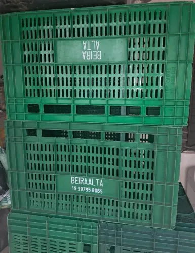 Kit 7 caixas de mercado
