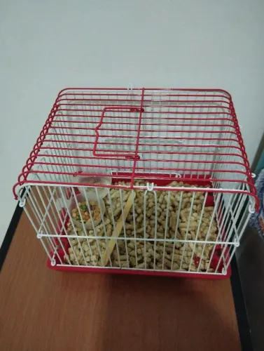 Gaiola para hamster