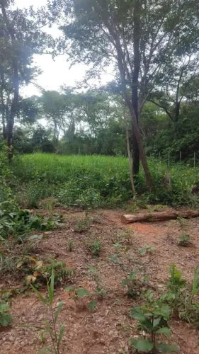 VENDO LOTE EM SANTA LUZIA-BARREIRO DO AMARAL 200M²