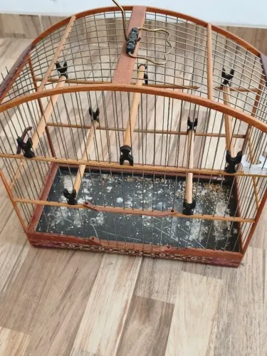 2 Gaiolas para agapornes e coleiros