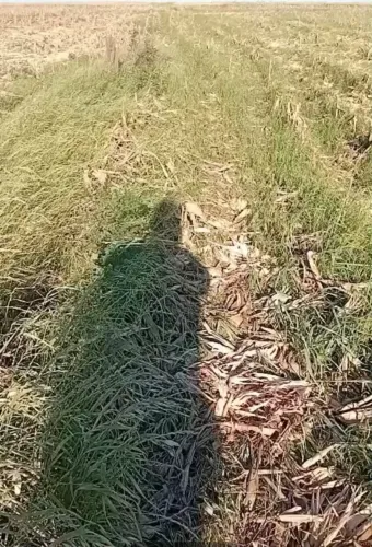 Vendo terreno em Alto bom retiro