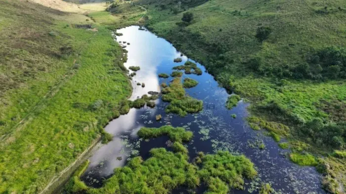 Fazenda de 290 hectares, topografia excelente e boa de água